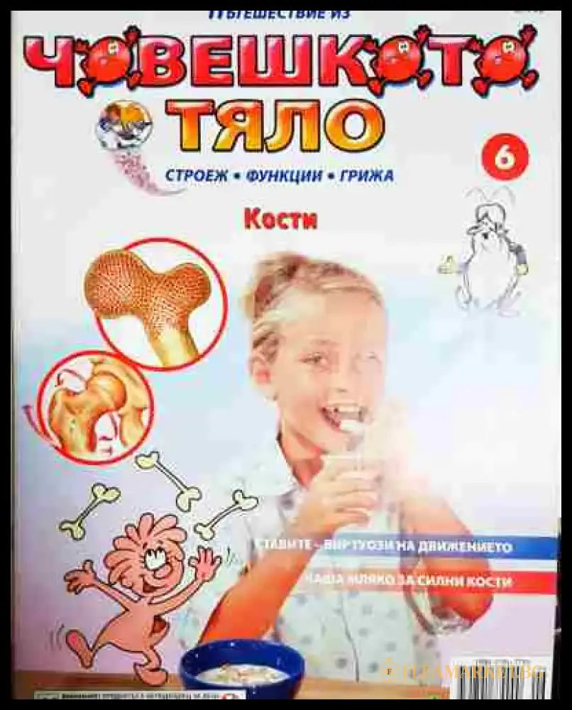 Пътешествие из човешкото тяло. Книга 6 - Книга
