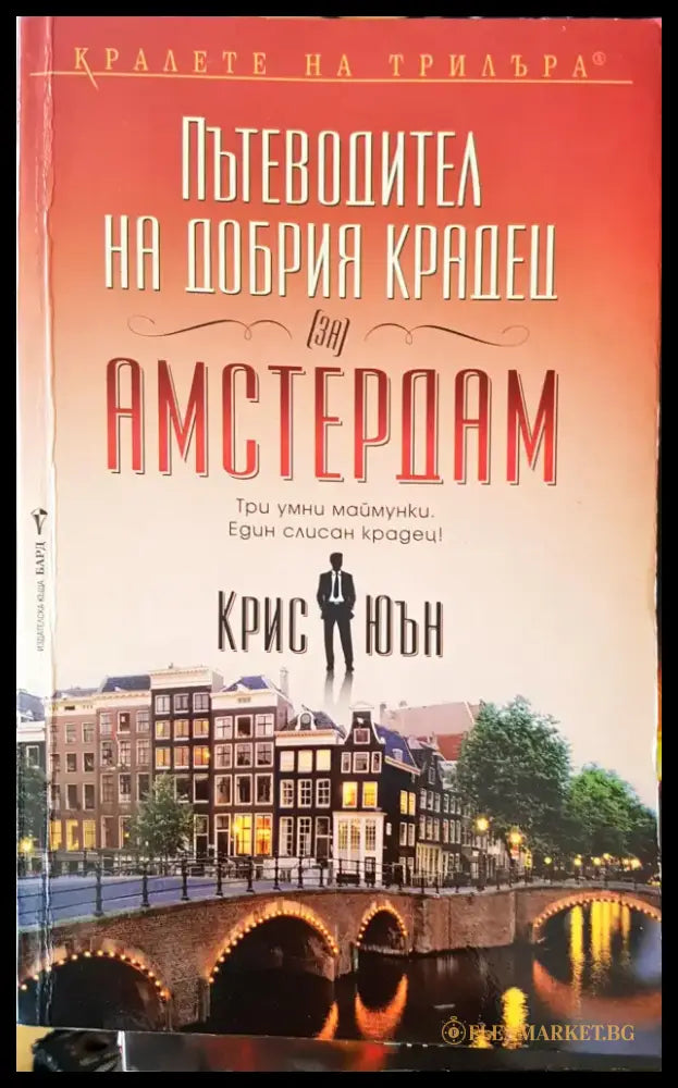 Пътеводител на самия крадец - Книги