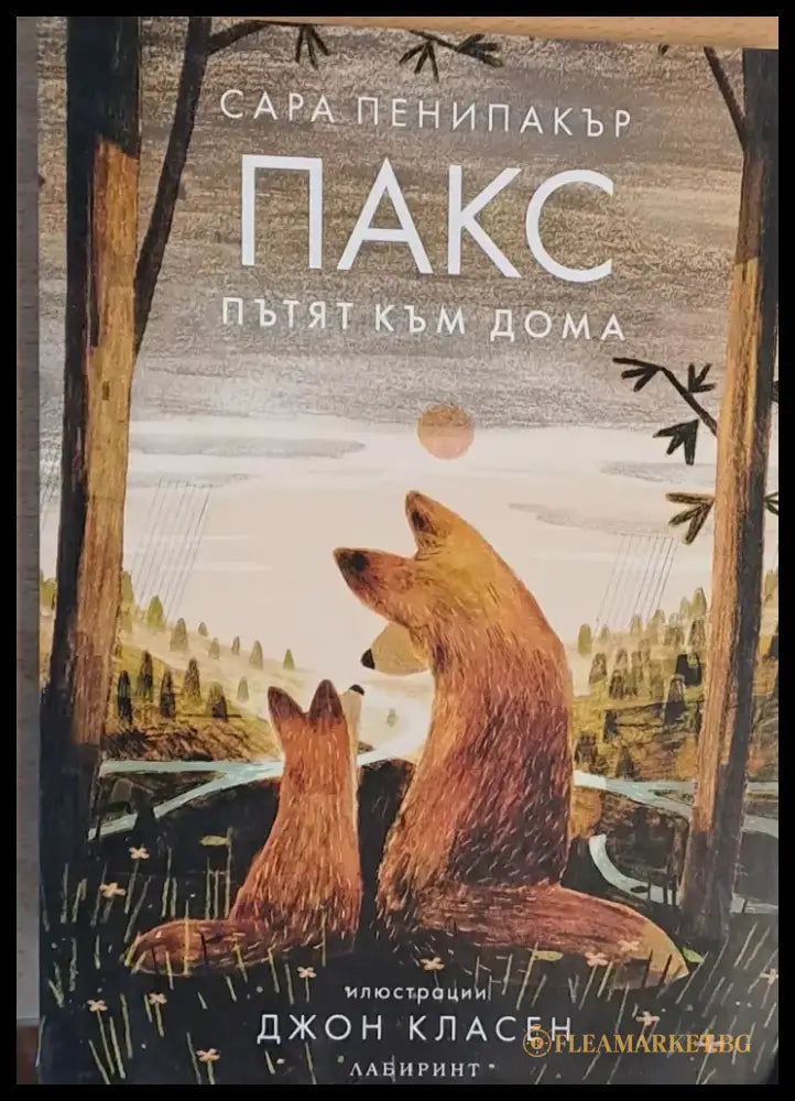 ПАКС Пътят към дома - Книги