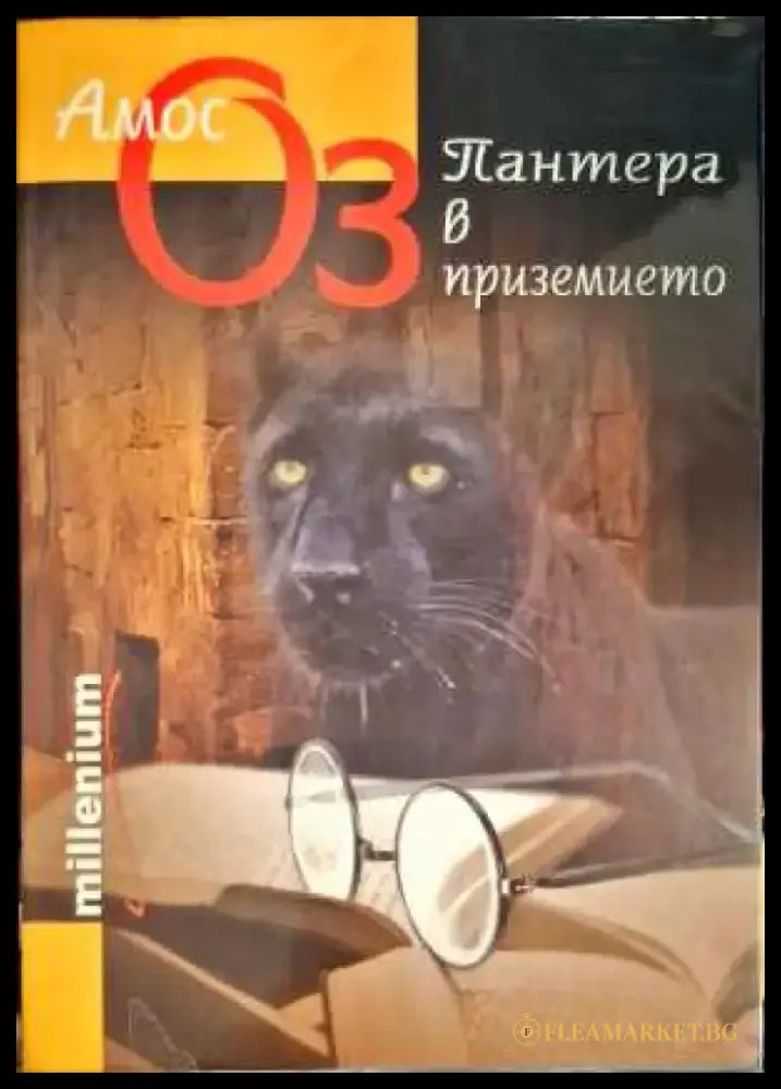 Пантера в приземието - Книги
