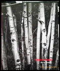 Паралакс - Книги