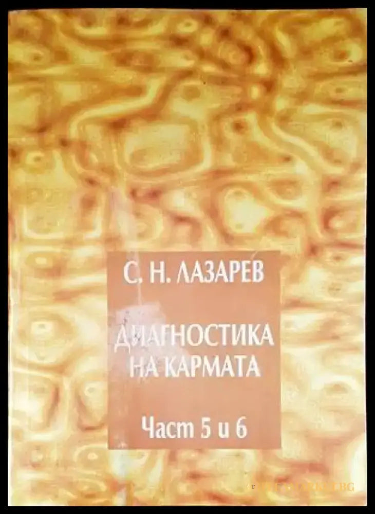 Паралелната вселена (4581) - Книга