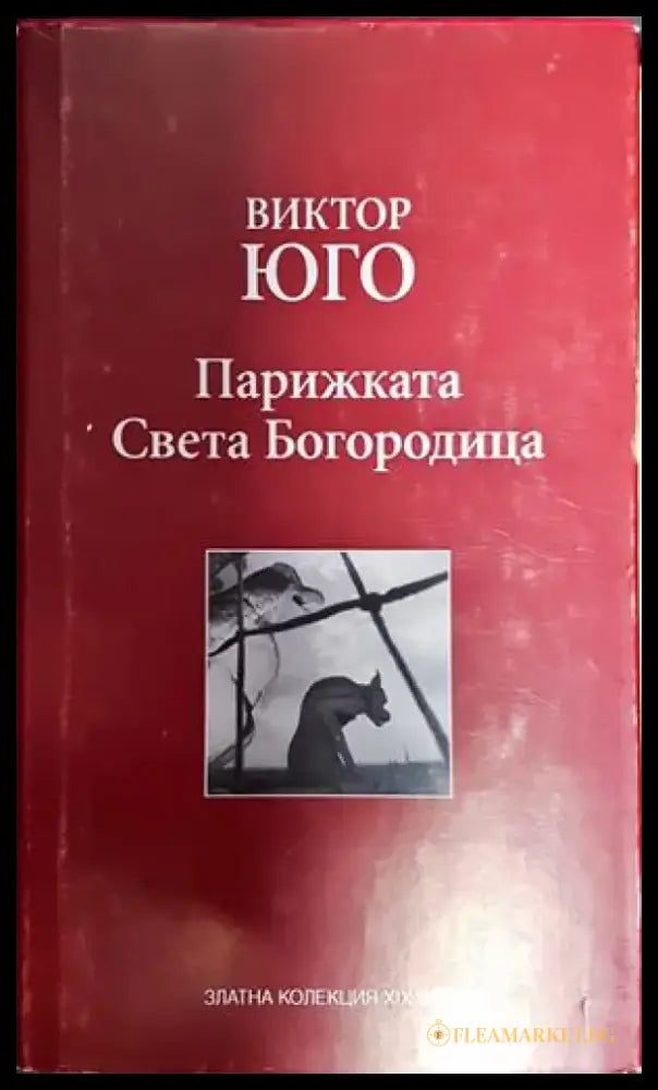 Парижката Света Богородица - Книга