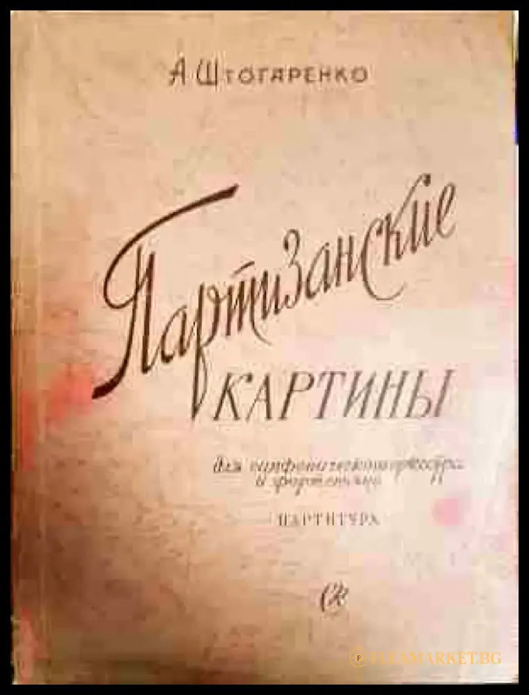 Партизанские картиньи - Книга