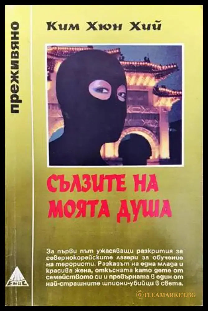 Патила и радости (1377) - Книга