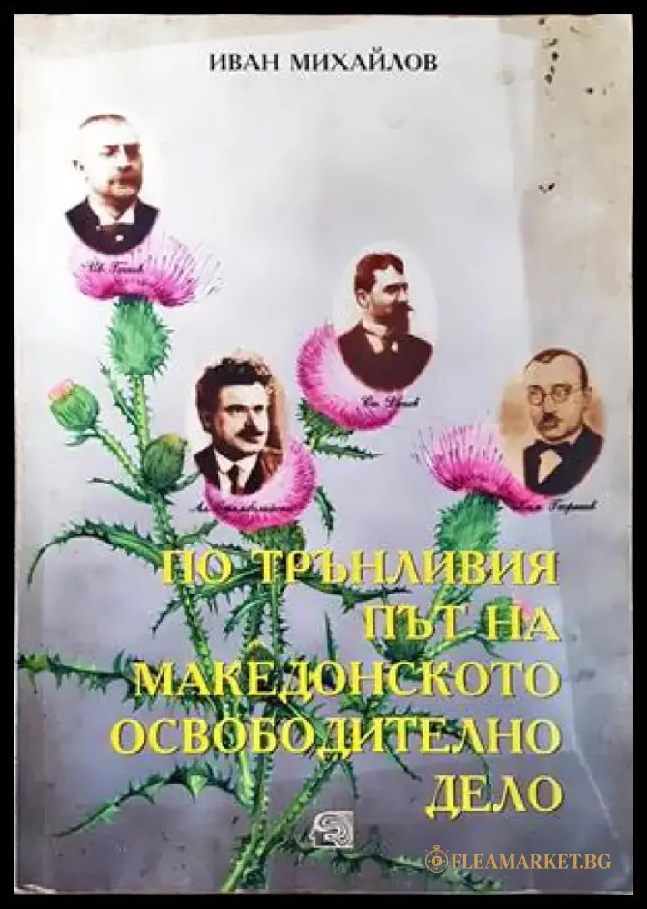 Патила и радости (1377) - Книга