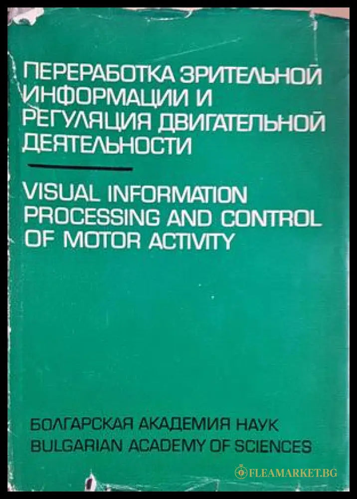 Переработка зрительной информации - корица