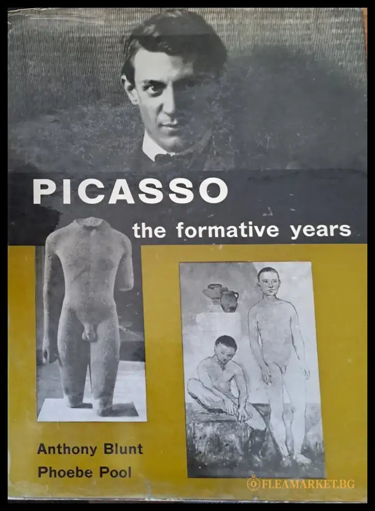 Picasso the formative years - Книги
