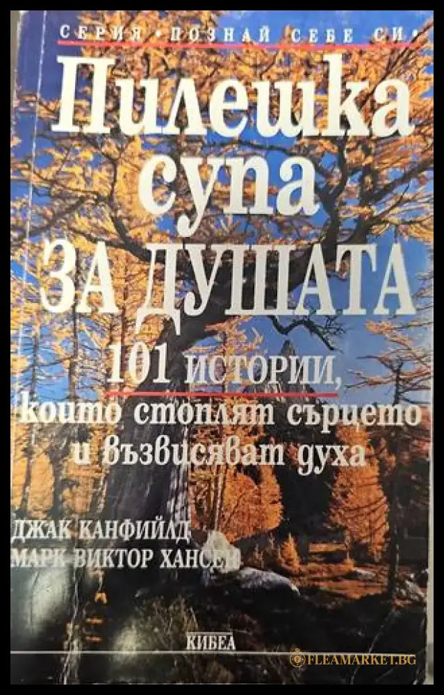 Пилешка супа за душата (1756) - Книга