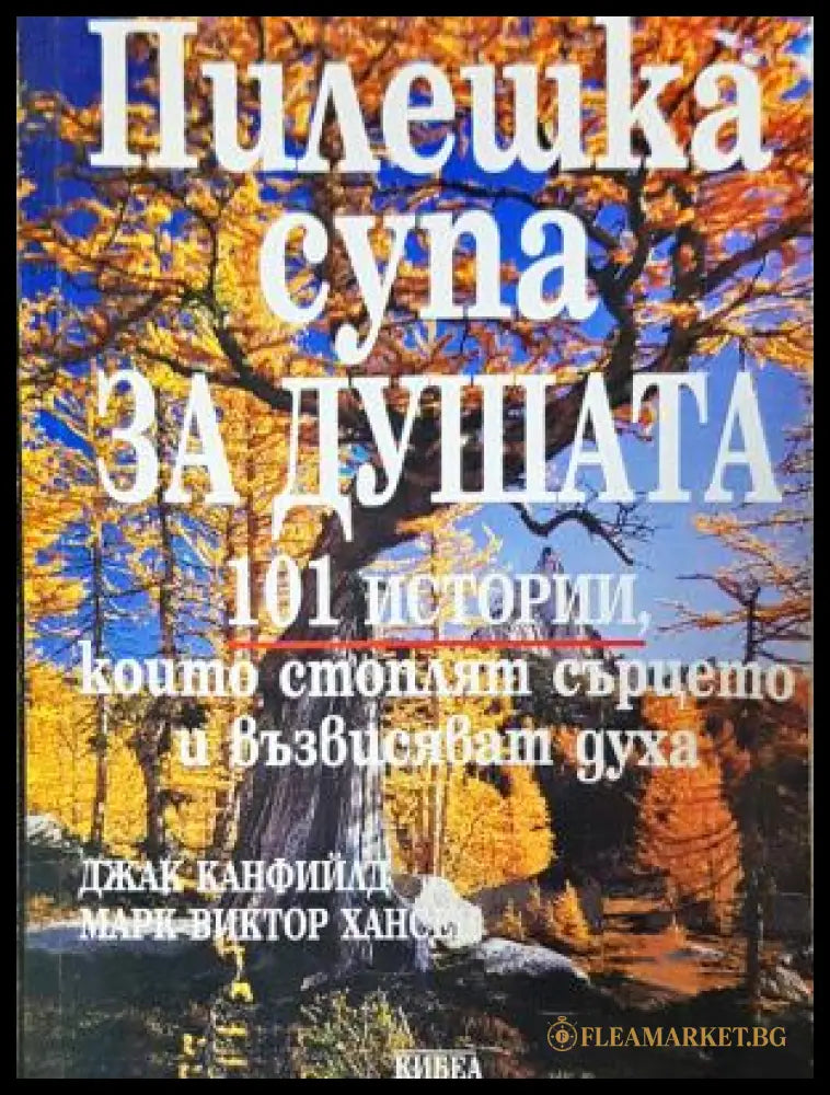 Пилешка супа за душата (06872 93872) - Джак Канфийлд Марк Виктор Хансен - Отлично - Книга