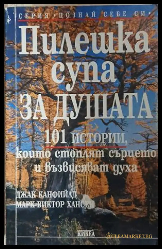 Пилешка супа за душата – Джак Канфийлд, Марк Виктор Хансен, корица на книгата