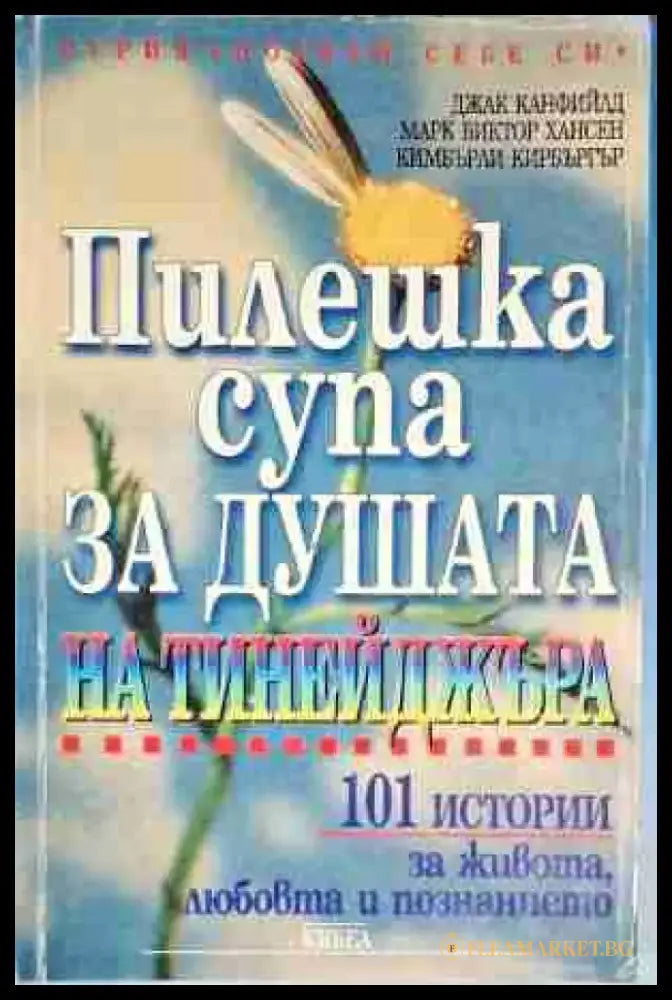 Пилешка супа за душата на тинейджъра - Книга