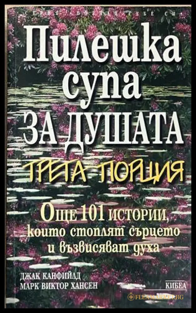 Пилешка супа за душата. Трета порция