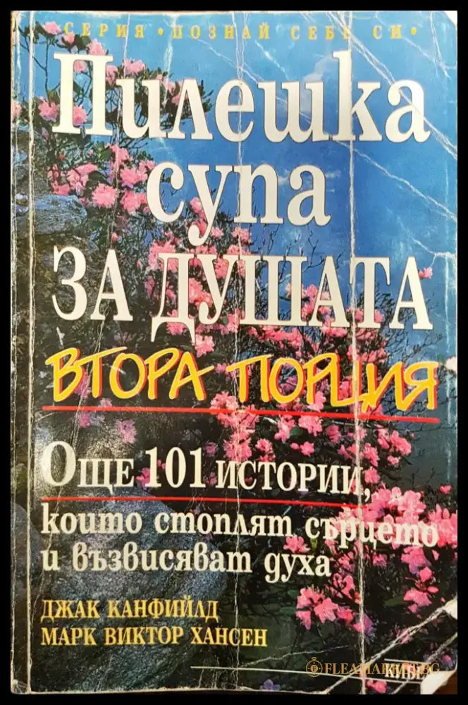 Пилешка супа за душата - Втора порция - Книги