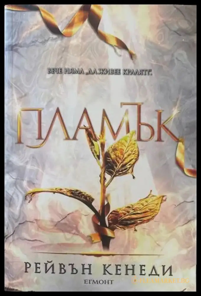 Пламък. Книга 4 - Книги
