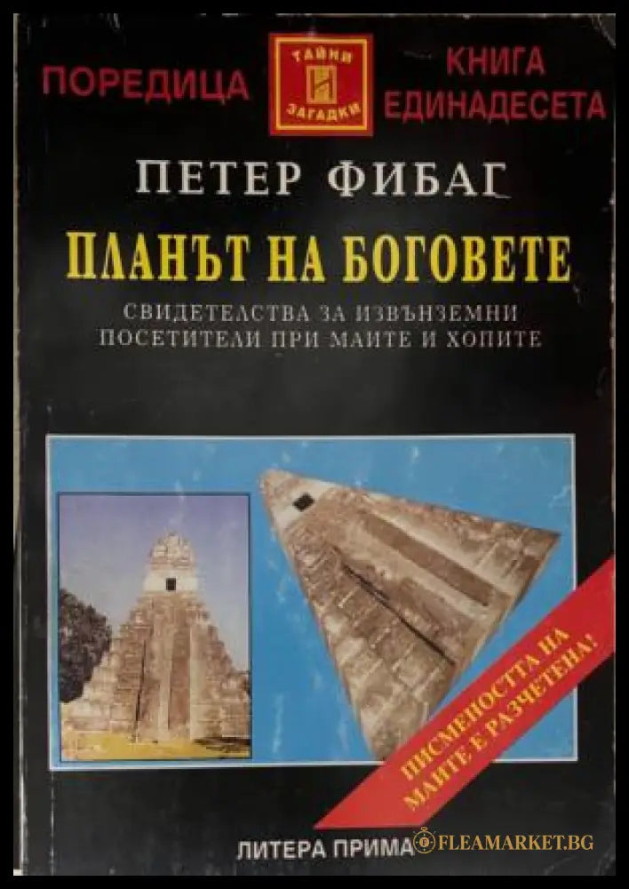 Корица на книгата Планът на боговете от Петер Фибаг