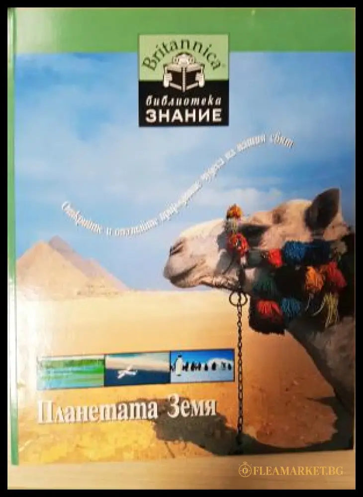 Планетата Земя (271905261649) - Колектив - Книга