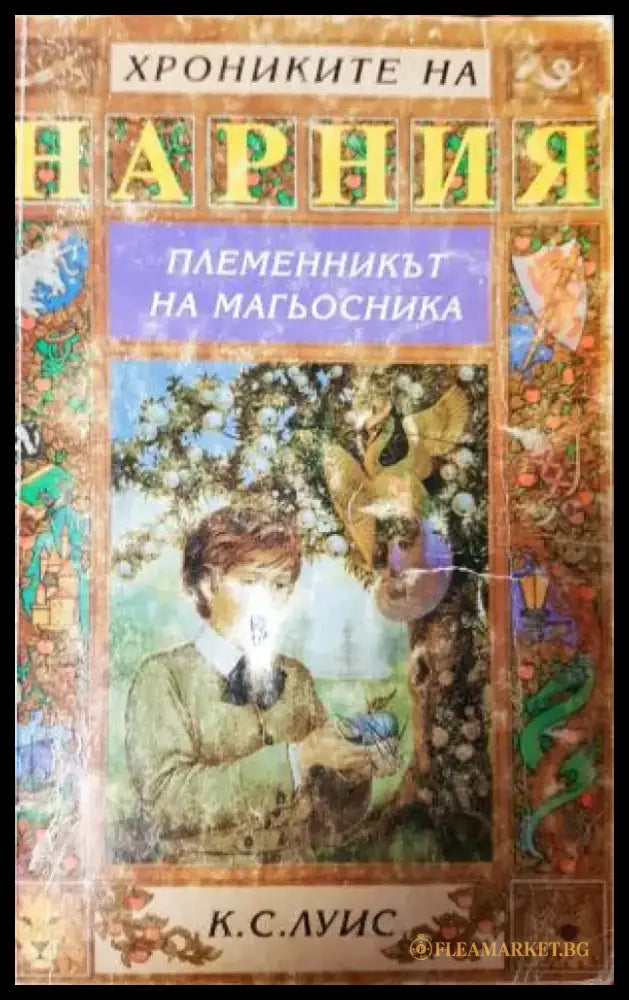 Племенникът на магьосника (3124) - Книга