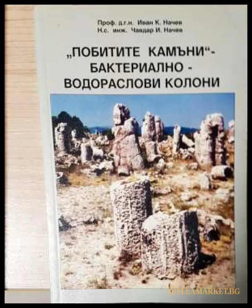 „Побитите камъни“ - бактериално-водораслови колони