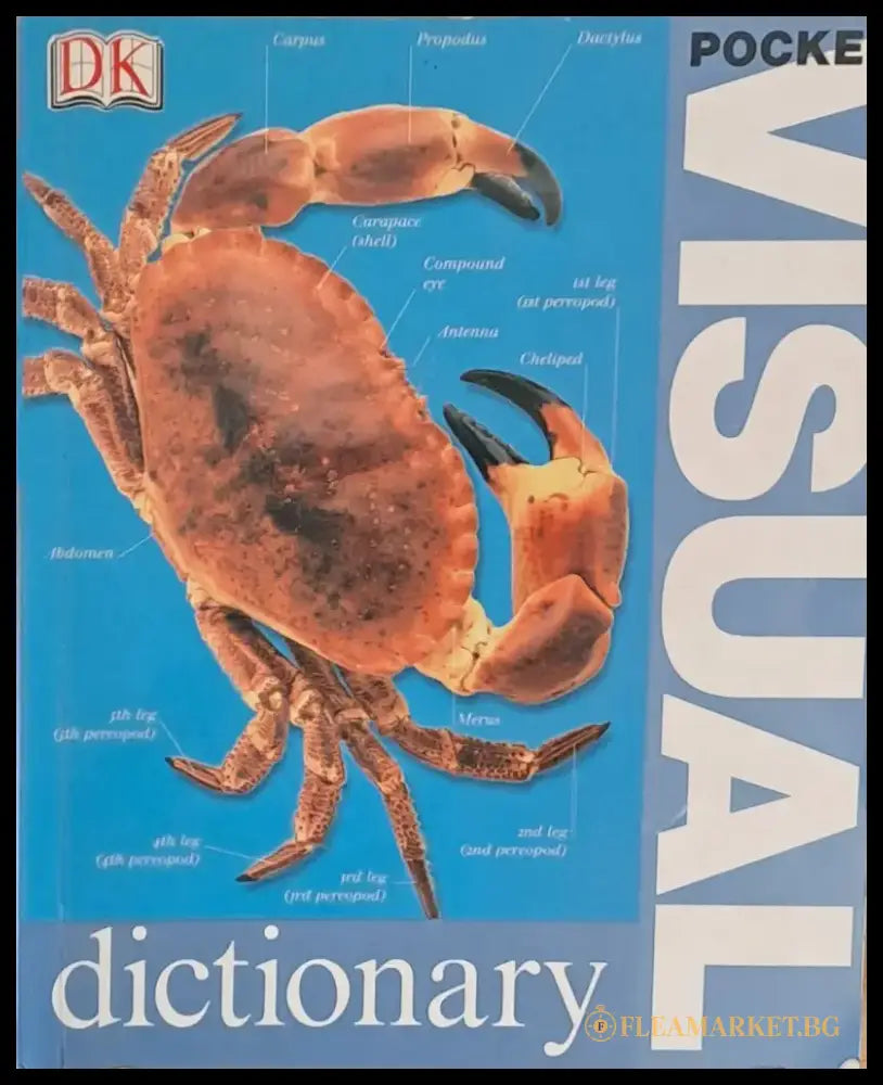 Pocket Visual Dictionary - Книги