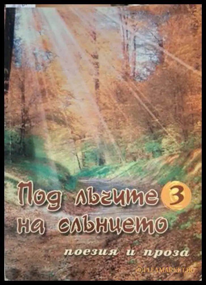 Под лъчите на слънцето. Книга 3 - корица