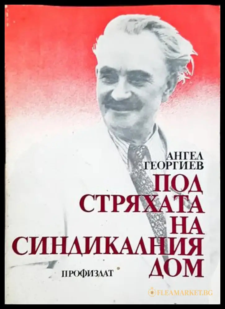 Под стряхата на синдикалния дом (2409) - Книга