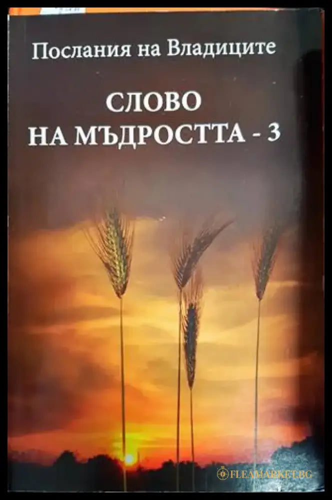 Послания на Владиците: Слово на мъдростта. Книга 3 - Книги