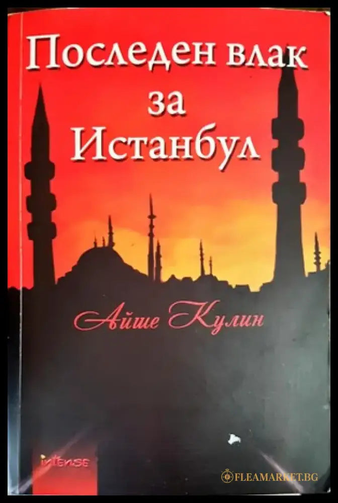 Последен влак за Истанбул - Книги