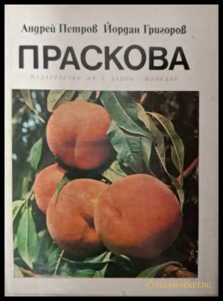 Праскова - Андрей Петров, Йордан Григоров