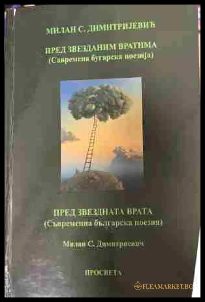 Корица на „Пред звезданим вратима / Пред звездната врата“ от Милан С. Димитријевић и Милан С. Димитриевич