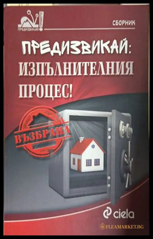 Предизвикай: Изпълнителния процес! (241409261413) - Колектив - Книга