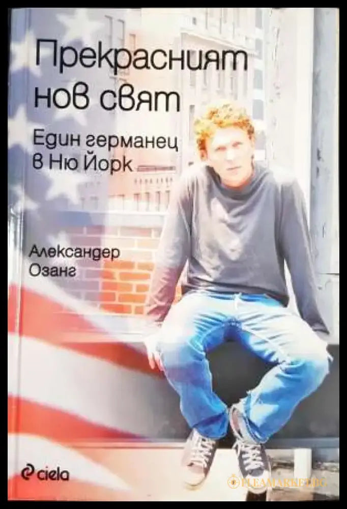 Прекрасният нов свят: Един германец в Ню Йорк (2390) - Книга