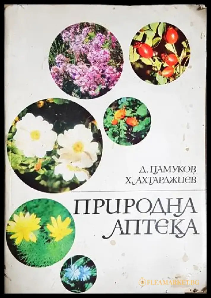 Природна аптека-ДП.ХА - Книга