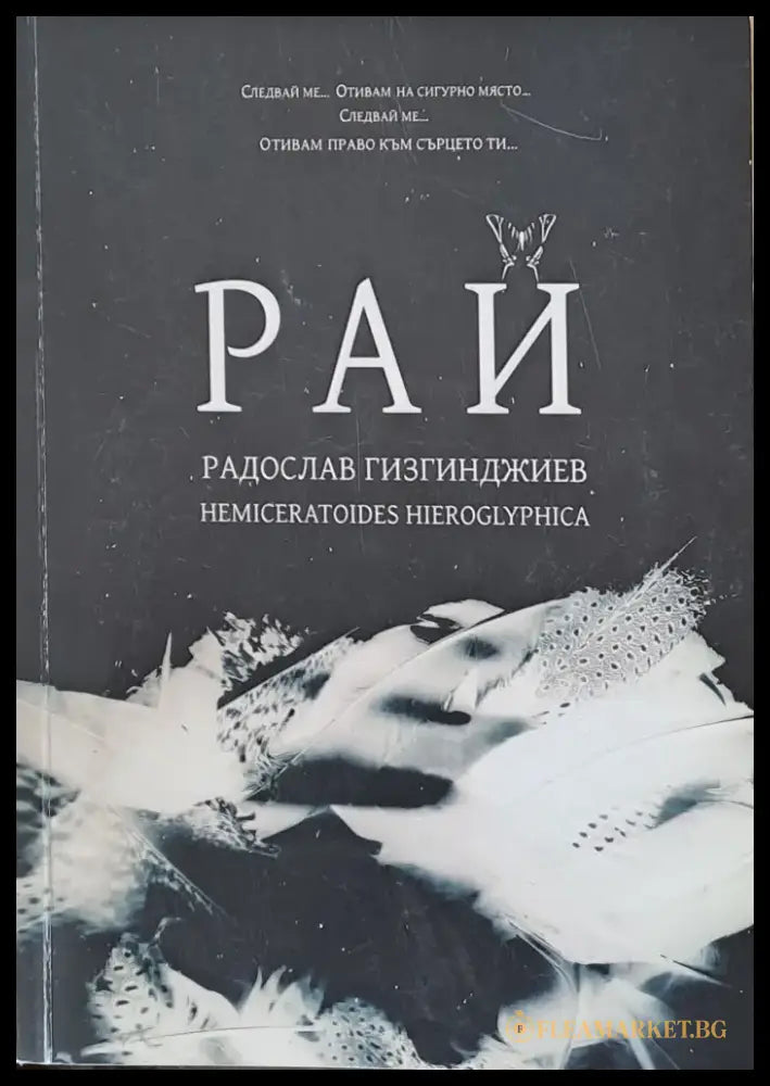 Притчата на исихастите (244) - Книга