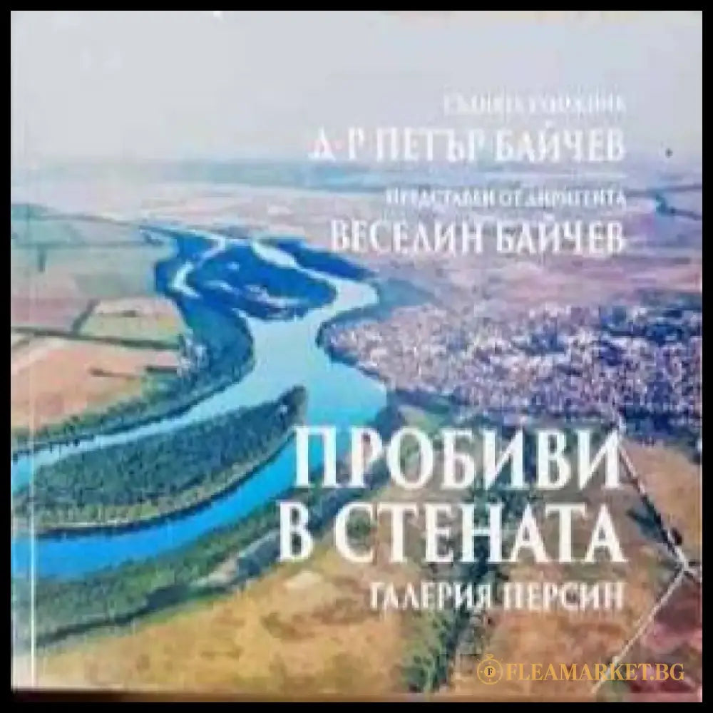 Пробиви в стената - Книга