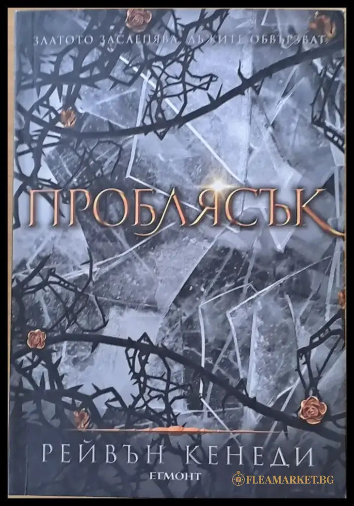 Проблясък - Книги