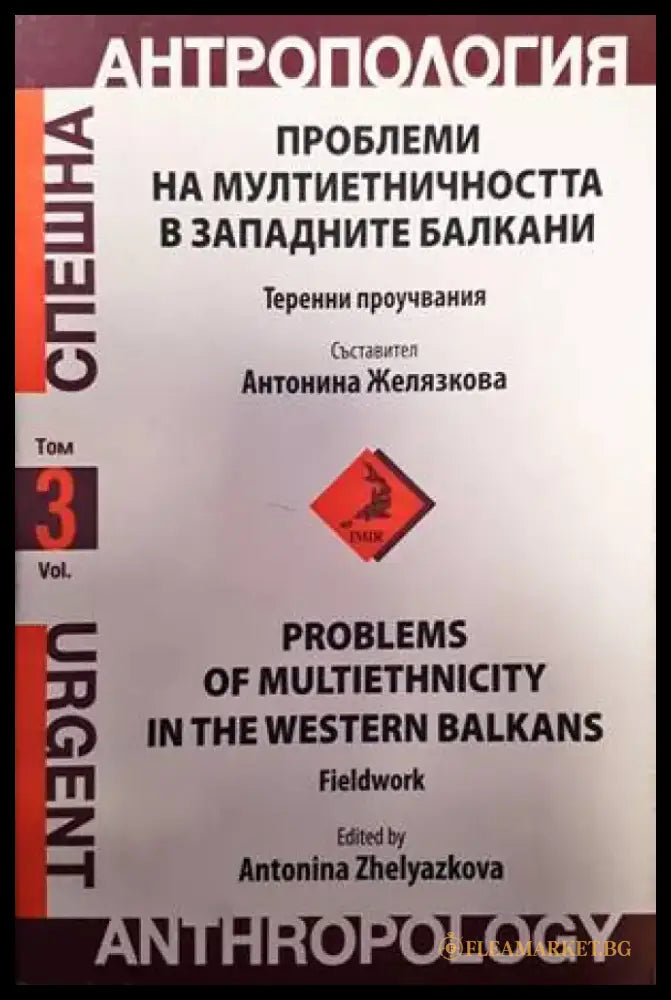 Проблеми на мултиетничността в западните балкани - Книги