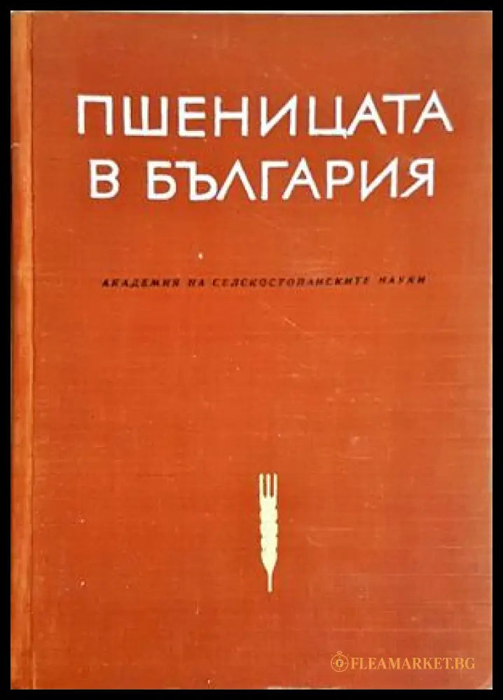 Пшеницата в България