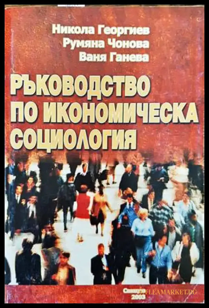 Ръководство по икономическа социология - Книги