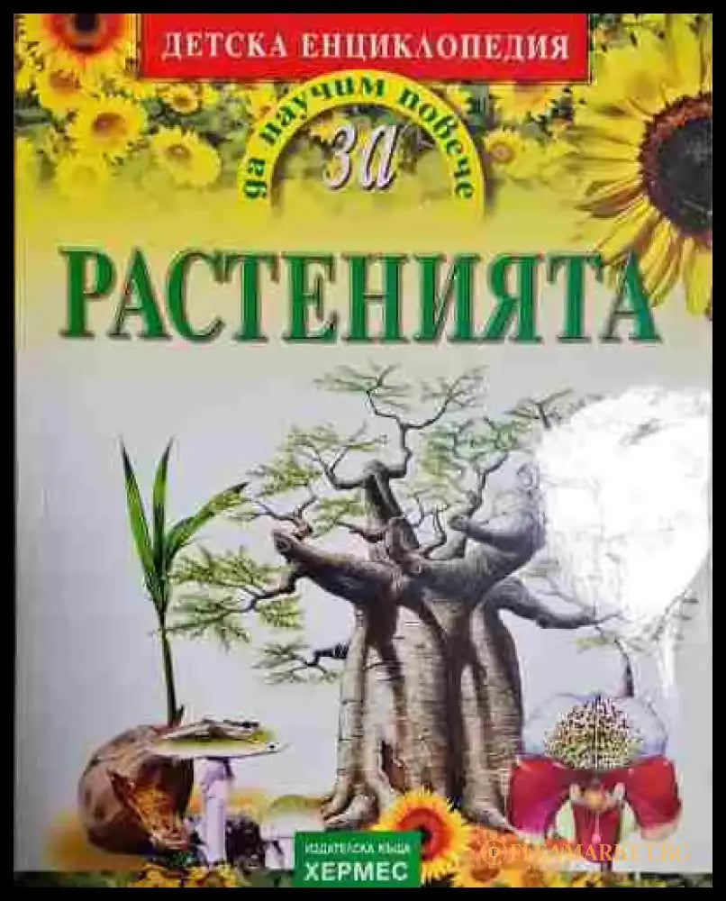 Растенията. Детска енциклопедия - Книга