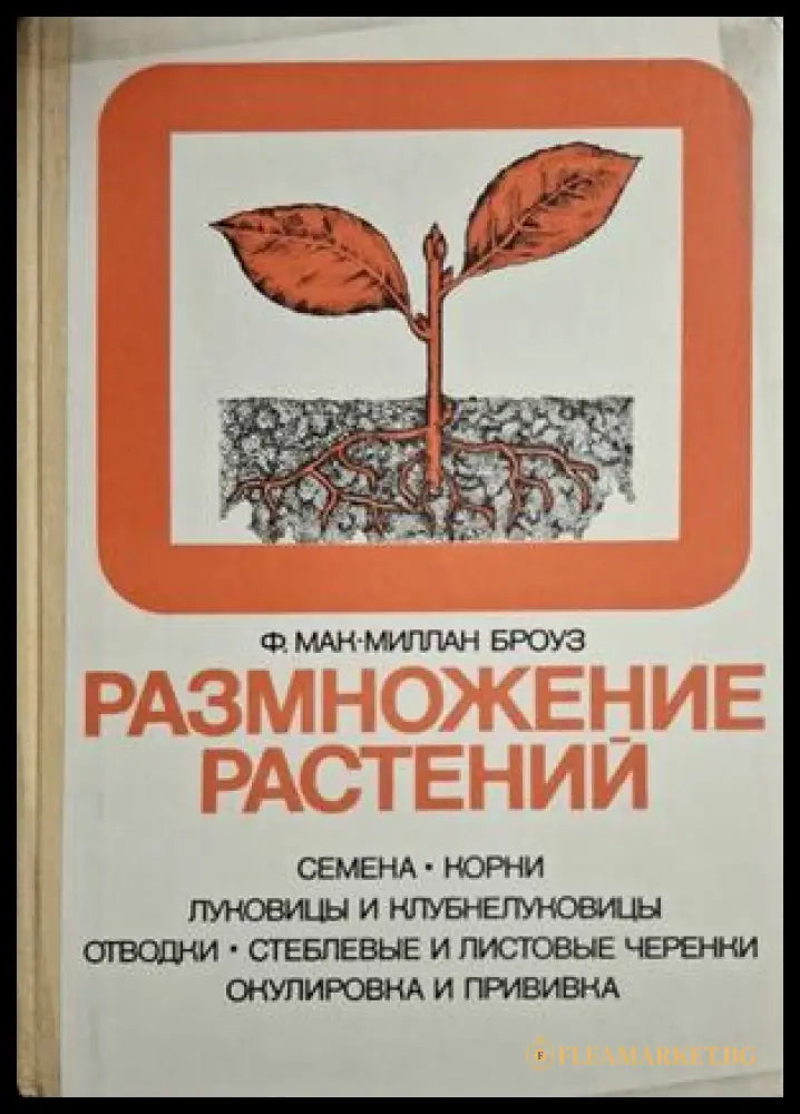 Размножение растений - корица