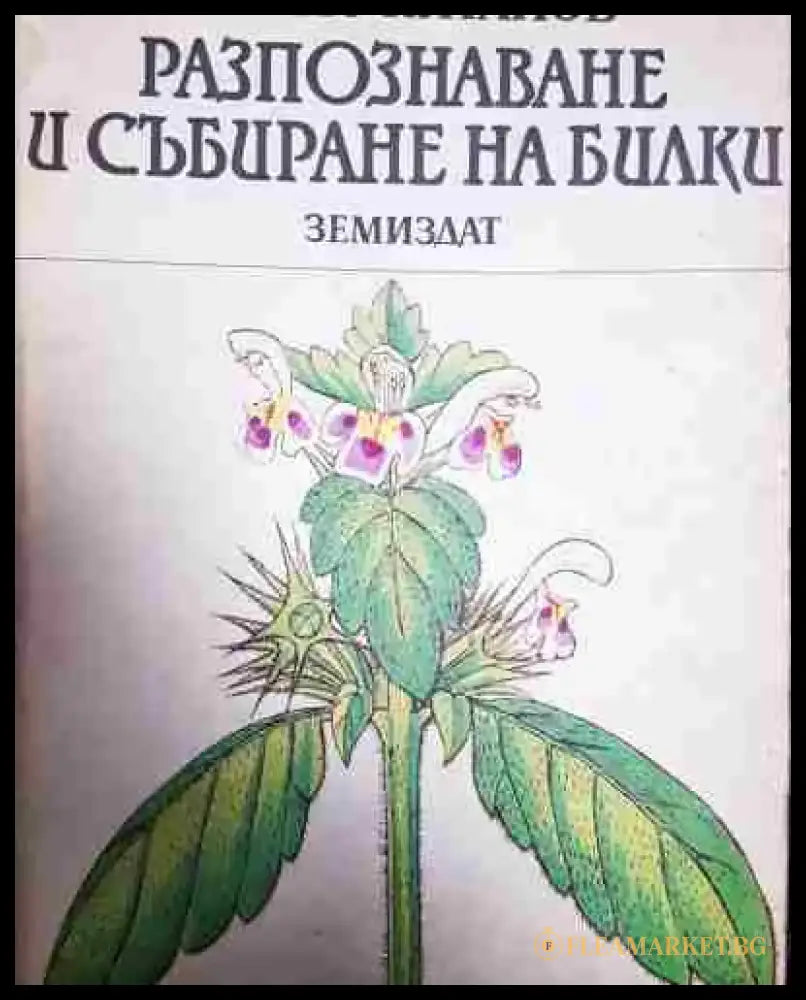 Разпознаване и събиране на билки - Борис Китанов - Книга