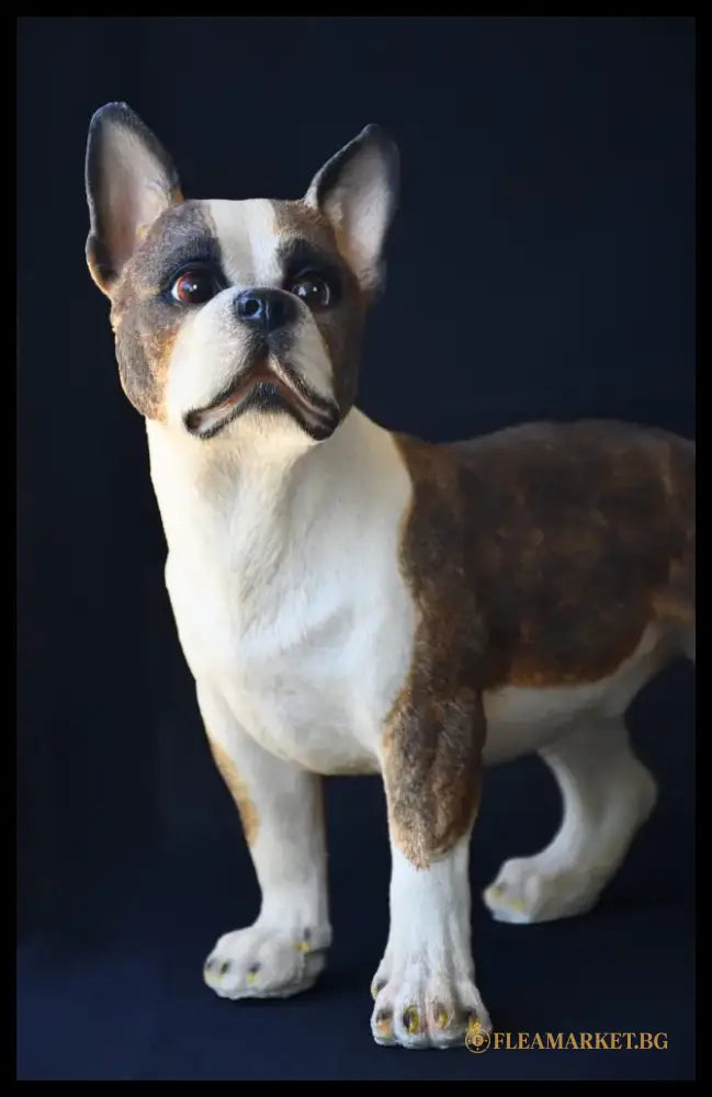 Реалистична скулптура на Boston Terrier - antique