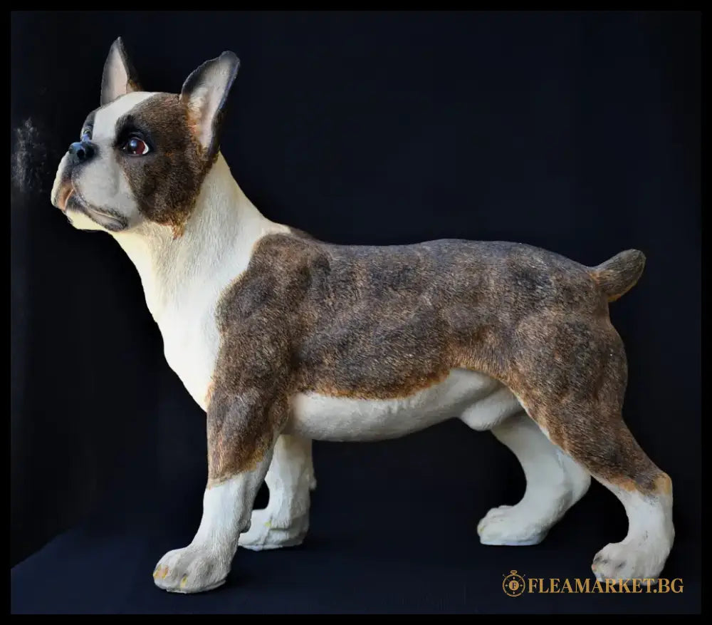 Реалистична скулптура на Boston Terrier - antique