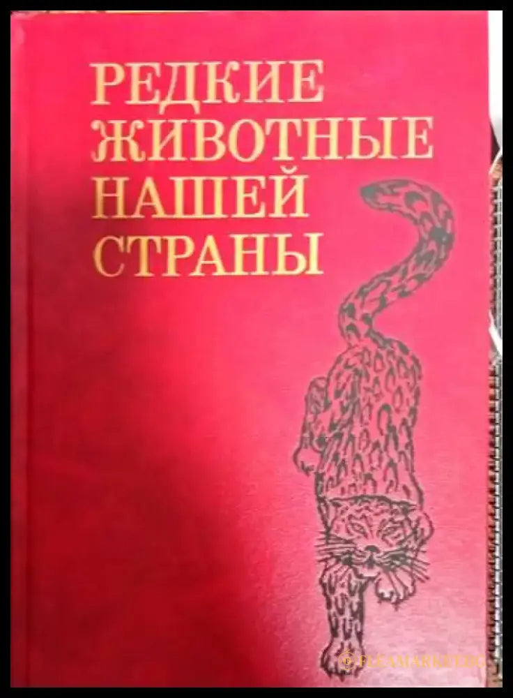Редкие животные нашей страны - Книги