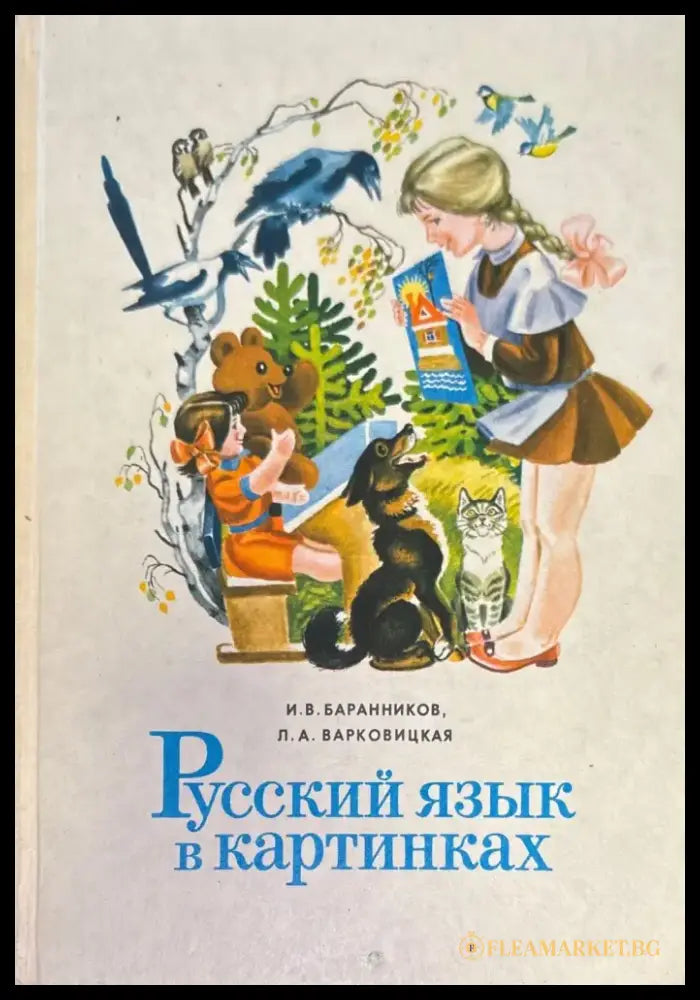 Русский язык в картинках - Книги