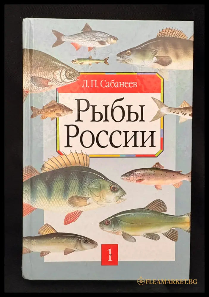 Рыбы России – Том 1 (162505262354) - Л. П. Сабанеев - Книга