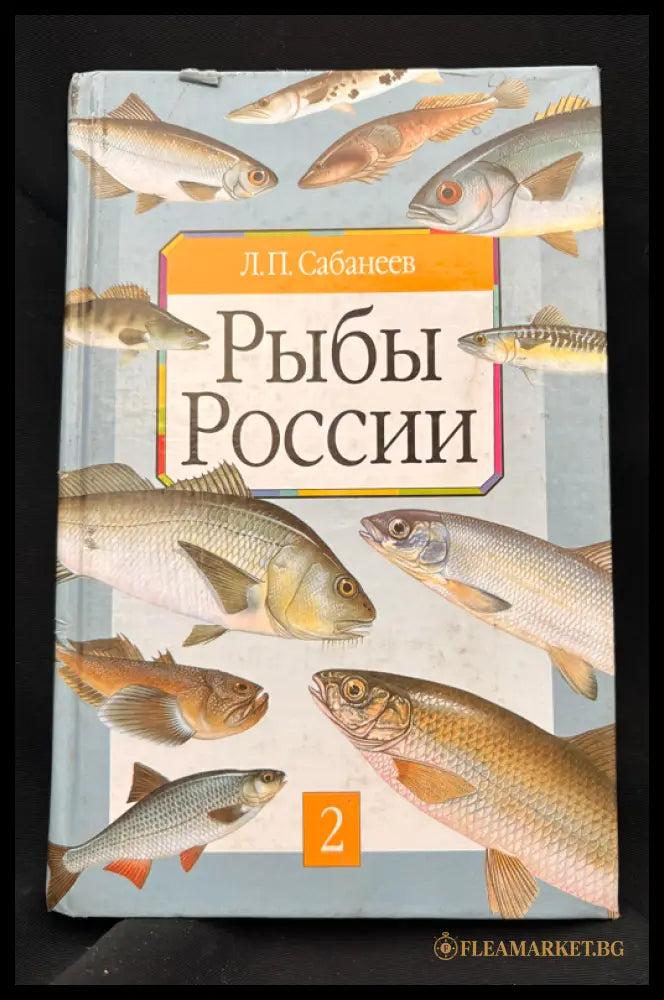 Рыбы России – Том 2 (162505262357) - Л. П. Сабанеев - Книга