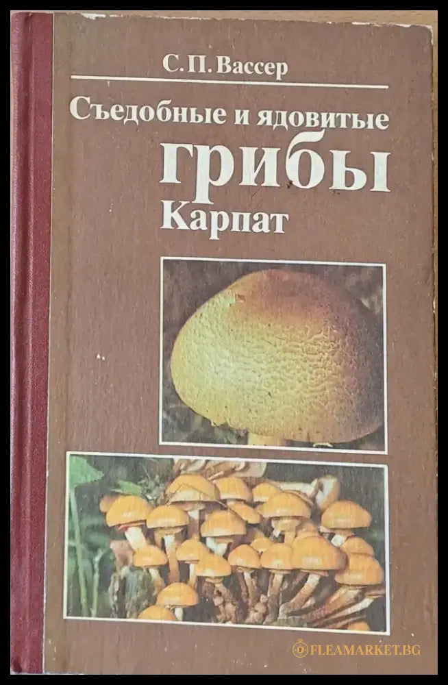 Съедобные и ядовитые грибы Карпат (167) - Книга