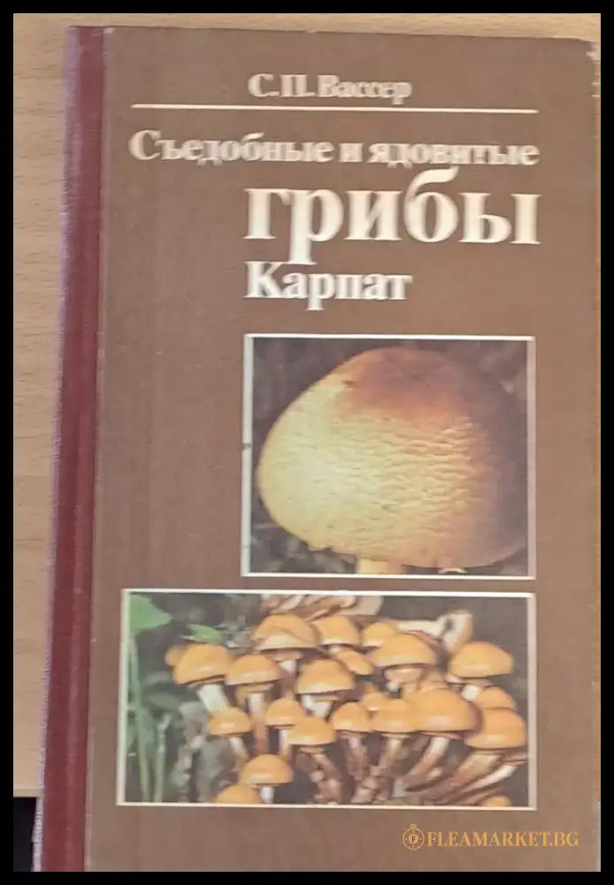 Съедобные и ядовитые грибы Карпат - Книги